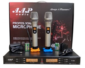 AAP audio K-500