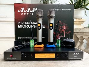 AAP audio K8600