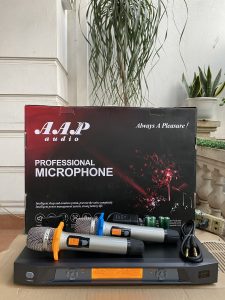 AAP audio S300