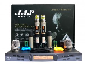 AAP audio S500